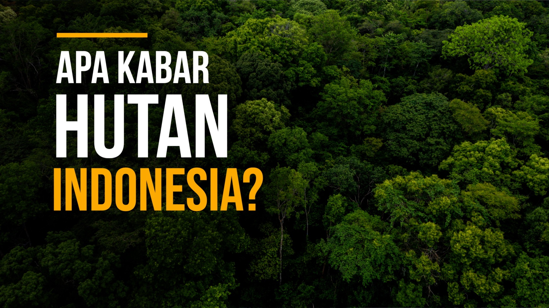 Hari Hutan Sedunia: Mengintip Nasib Hutan di Indonesia dan Apa yang Mesti Kita Lakukan