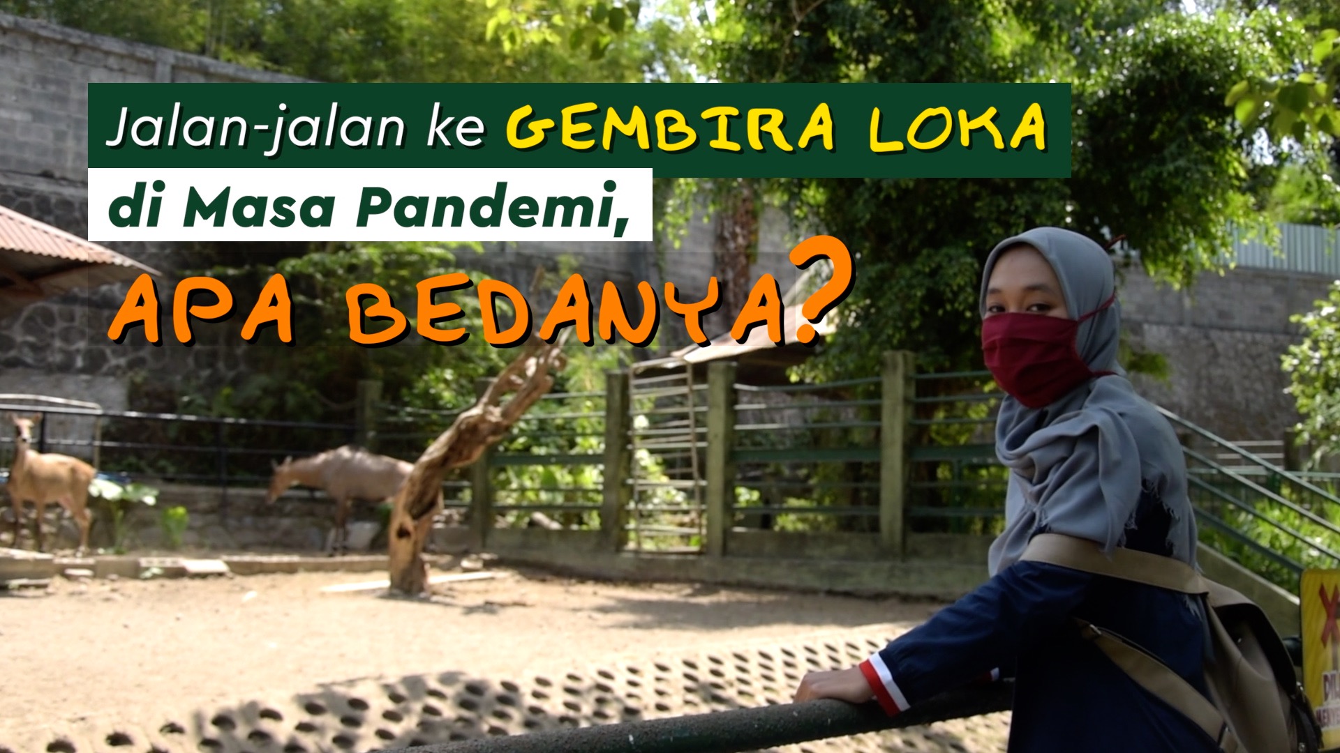 Jalan-jalan ke Gembira Zoo Yogyakarta di Masa Pandemi, Apa Bedanya??